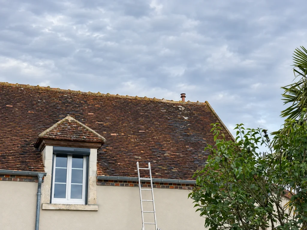 Toiture ancienne en tuiles présentant des traces d’usure et de végétation