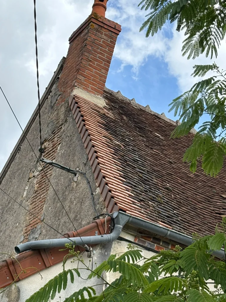 Versant ancien en tuiles et cheminée avant intervention